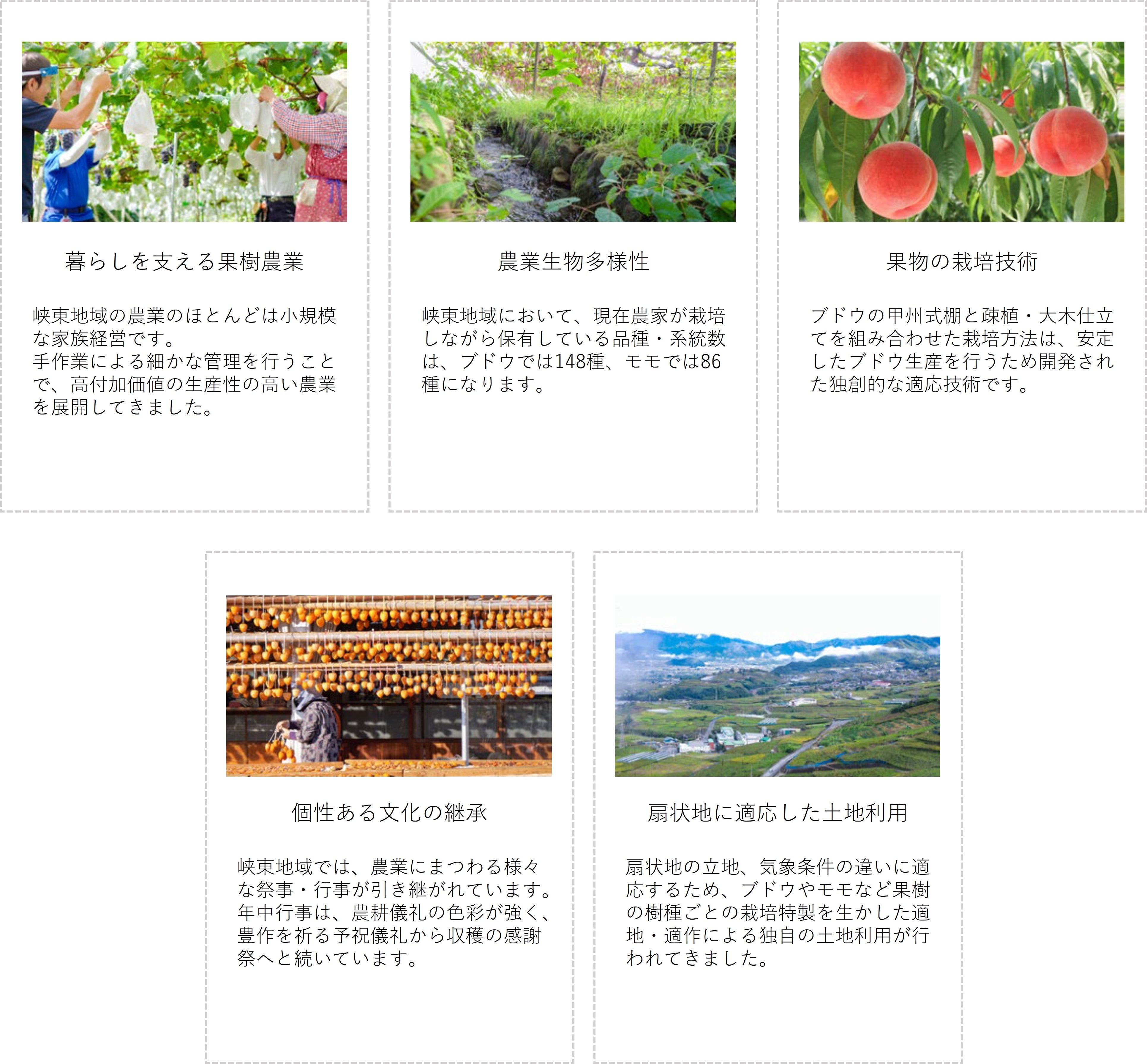山梨県笛吹市／峡東地域の世界農業遺産をゲームラーニングで学ぶ