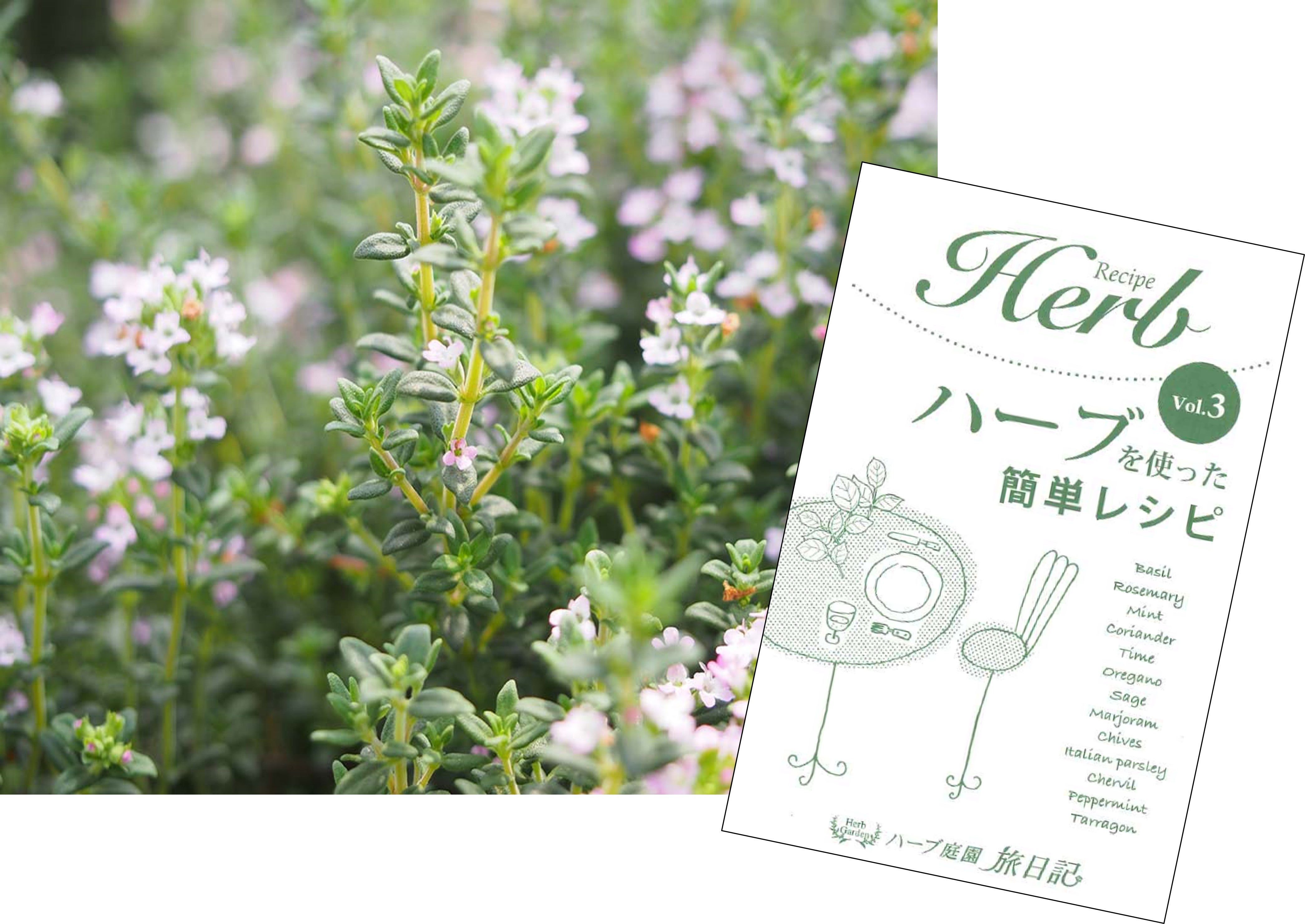 ハーブ庭園旅日記 勝沼庭園／ハーブ栽培の専門家が育てたハーブの